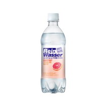 동아오츠카 라인바싸 탄산수 500ml 20 40 60개 pet 플레인 자몽 레몬 1박스, 라인바싸 탄산수 500ml 자몽 20개