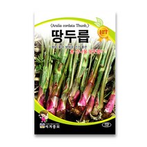 모칸도 세계 땅두릅 100립