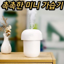 벽걸이 열 페트병 타워형 사무실 책상 조용한 회사 거실용 공장 물병 캠핑 책상용 가습기, 핑크