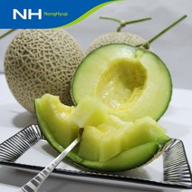 [곡성농협] 국내산 메론 3.5kg 외, 곡성농협 메론 8kg(5수), 1박스