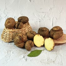 [미식한가] 못생겨도 맛있는 제주 구좌 파지 못난이 감자 (특-왕특품), 못난이 파지 감자 3kg (특-왕특품)