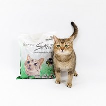 퀸오브샌드 응고형 고양이 두부 모래 대나무숯, 3kg, 2개