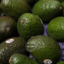 아보카도샌드위치 아보카도오일 3개 아보카도 냉동아보카도 아보카도퓨레 아보카도샐러드 수입과일