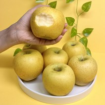 황금사과 시나노골드 가정용 흠과 아삭달콤 맛있는 노란 경북 사과, 가정용 3kg, 꼬마~소과 15~18과 내외