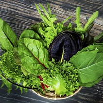 당일수확 친환경 샐러드채소 600g 1kg, 유기농 샐러드 채소 1kg, 1개