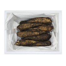 코스트코 더덕 선물세트 1.2kg 고마운분 설구정추석 명절선물 단체