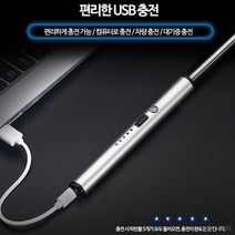 충전식토치x1개 다목적토치 플라즈마토치 충전점화기, 1개, 블루