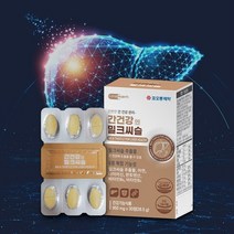 간 건강 밀크씨슬 에너지 비타민 아연 실리마린 효능 기능 안전, 간건강 밀크씨슬