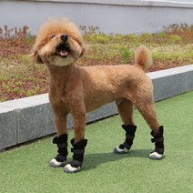 강아지 벨크로 롱부츠 양말 신발 레인부츠 중형견 대형견, 그레이