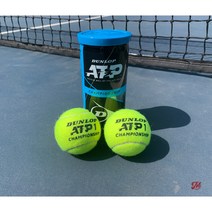 던롭 ATP 챔피언쉽 테니스공 시합용 캔볼 1캔 2개입, 2개