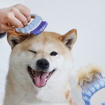 멈머네 강아지 고양이 조개빗 강아지털 빠짐 힐링브 러쉬 고양이털 관리 개털빗, 블루