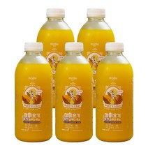 마이요기 늙은 단 통 호박 즙 스무디 주스 전통 맛있는 다이어트 붓기 엑기스 농축액 음료 순수 국산 100% 진액 임산부 산모 산후 빼는 NFC 착즙 음식 쥬스 900ml 5병, 07.호박주스 900ml 5병