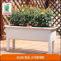 킹마이크로 베란다 직사각 가족식 재함 하이풋 종채 화분 꼭대기 야채 식재용 화분, 단품