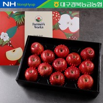 [미소드림] 대구경북능금농협 프리미엄 사과 선물세트 5kg(13과내), 단품