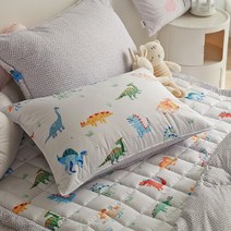 클푸 [클푸]알러지케어 크몬 누빔베개커버 40x60