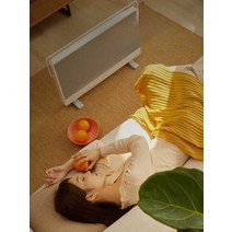 히터 난방등 산업용히터 근적외선 벽걸이 무소음 야외 가정용 사무실, B타입