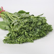 불로초 그린소재 생화택배 (고속터미널꽃시장 직배송) 꽃예꽃, 비슷한 느낌의 꽃으로 변경(다른꽃or다른색), 금~일요일 구매시 (화요일 도착)