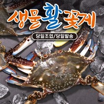 국산 서해안 활 꽃게 생물 암수혼합 숫꽃게 암꽃게 게 간장 양념 게장용 대 특대 1kg 2kg 3kg, 1. 생물 꽃게(암수혼합) 1kg(3~5미), 1개