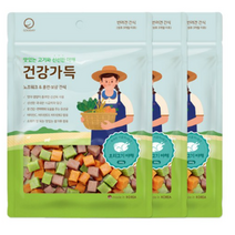 굿데이 강아지 건강가득 간식 300g, 24개, 오리고기 야채