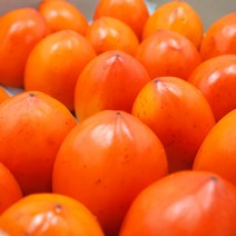 당도보장 달콤한 영암 대봉감 3kg(9-13과)
