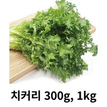 상추300g 인기 상품 랭킹을 확인해보세요