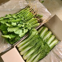빨간장화농장 산지직송 맛있는 열무 얼갈이, 반반세트(열무2kg+얼갈이2kg), 1개
