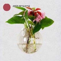 유리 꽃병 녹라수배 식물 벽 작은 프레시 미니 스몰 용기 걸이 어항 화분 벽 걸이 투명, 라지 만터우 4개입