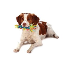 아기강아지 이갈이 쿨링 로프장난감 입질훈련 혼자놀이 치실토이 흥미유발 뇌운동, 1개