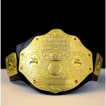 챔피언벨트 wwe 챔피언 벨트 ufc 챔피온 권투 레슬링 우승벨트 프로
