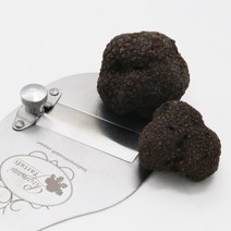 이탈리아 자연산 블랙 생트러플 송로버섯 트러플버섯 10g-60g (생물), 40G