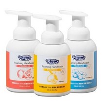 포밍 핸드워시 손세정제 250ml 3종 1+1+1, 포밍 핸드워시 손세정제 250ml 3