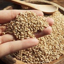 유기농 [볶지 않은] 참 깨(Organic Sesamum indicum) - 500g, 1개