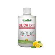 랜드아트 식용 액상 수용성 규소수 비건 콜라겐 부스터 500ml, 1개, 기본