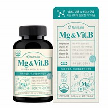 마그네슘 450mg 비타민B 고함량 무기질 잇몸 영양제 에너지 눈떨림 마그네시움 MAGNESIUM 뉴트리 랩스