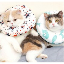 아기고양이 입양준비 중성화 수술 넥카라 피부 냥이, 1개, 뉴욕스타 S