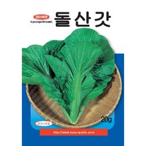 돌산갓 - 갓 - 여수갓 - 돌산갓 씨앗 종자 - 소포장 텃밭용 - 20g