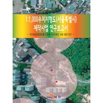 1:1 000수치지형도(서울특별시) 제작사업 연구보고서:국가관심지점정보를 이용한 수치지형도 수정방안 연구, 진한엠앤비, 국토교통부 국토지리정보원