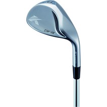 Kasco 카스코 DW-118 돌핀 웨지 스트레이트 넥 타입 남성용, 50도도, 스틸 + R플렉스