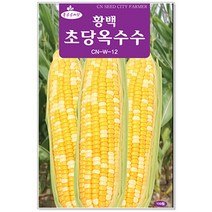 황백초당옥수수씨앗 100립 옥수수씨앗(C0128)