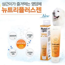 강아지 피로회복 대형견비타민 종합영양제 애견영양제