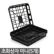 플라스틱화분 포트 초화박스 5개 - 모종 트레이 육묘상자 포트상자 포트운반 모종운반 삽목상자 초화상자 육모박스 이색포트 연결구 연결포트, 01_세인_초화상자(미니) X 5개