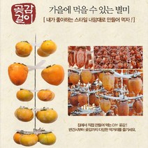 프리미엄 곶감 걸이 100개용 곶감만들기 곶감메이커, 곶감걸이 꼭지핀 100개