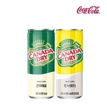 올따옴기획 캐나다드라이 진저에일 250ml*12개+토닉워터 250ml*12개, 1개