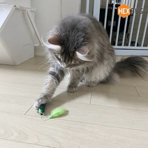헥스버그 나노 캣토이3030