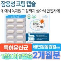 특허유상균 온가족 유산균 셀렌 신프리바이오틱스 신프로바이오틱스 람노플알파 장용성 캡슐 / 2개월분 1일1회1캡슐, 제품구매+사은품1(커피믹스)