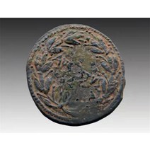 고대 로마 구리 동전 첫 번째 황제 아우구스투스 옥타비우스 아우구스투스 화환 응결 녹색 기념주화 수집주화 은테크 행운의 상징 대박아이템