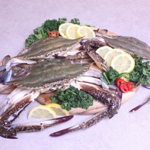 야무지개수산 제철 가을 꽃게 햇 숫꽃게 암꽃게 1kg, 1개, 급냉 가을 숫꽃게1kg(2~5마리)