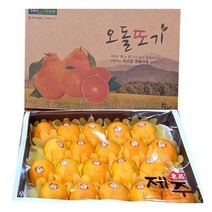 [신선연구소]선물세트 제주시농협 황금향 3kg중대과(17과내외)
