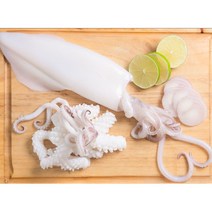 오징어솔방울(자숙) (실중량:200g) 2개 냉동오징어