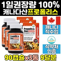캐나다 산 프로폴리스 아연 면역력 에좋은 영양제 3통 키즈 프리미엄 항산화 원액 효과 플라보노이드 6000 홈쇼핑 고함량 60대 40대 남성 남자 여자 50대 중년 노인 여성